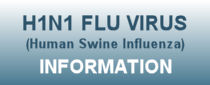 H1N1 Flu Virus information
